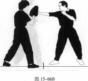 图片11