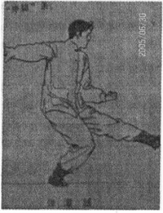图片5