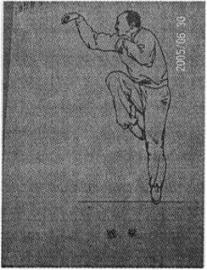 图片15