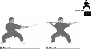图片21
