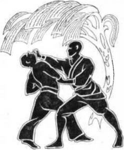 图片5