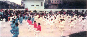 图片22