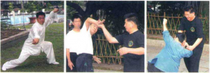 图片55