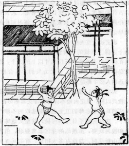 图片16