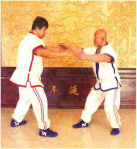 图片5