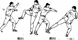 图片101
