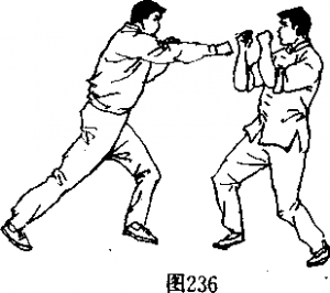 图片118