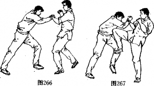 图片133
