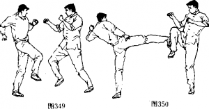 图片164