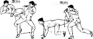 图片184