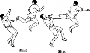 图片237