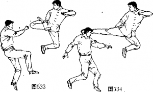 图片231