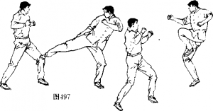 图片214