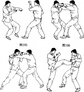 图片11