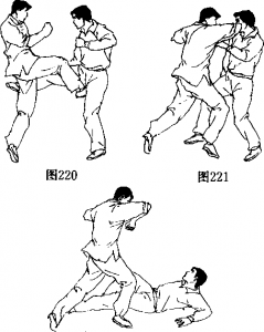 图片13