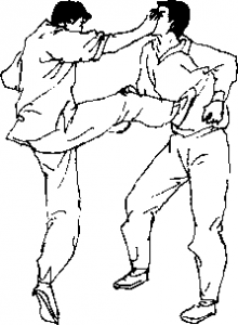图片10