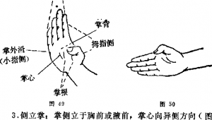 图片33