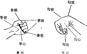 图片35