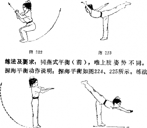 图片14