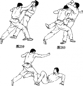 图片9