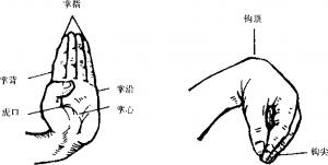 图片101