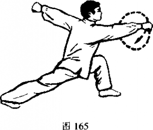图片262