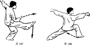 图片275