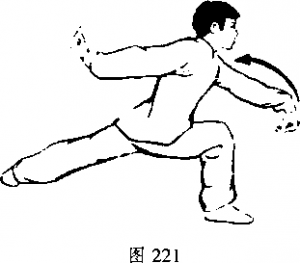 图片312