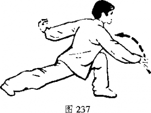 图片329