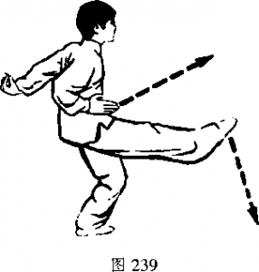 图片331