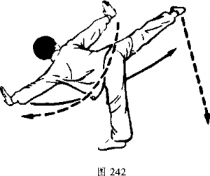 图片334