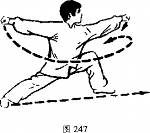 图片338