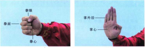 图片30