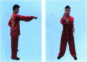图片37
