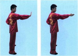 图片38