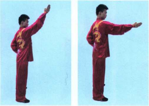 图片40
