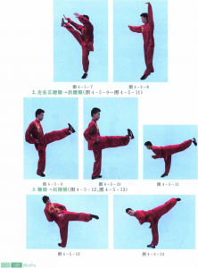 图片102