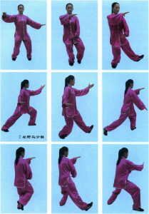 图片51