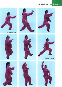 图片52