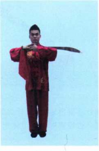 图片100