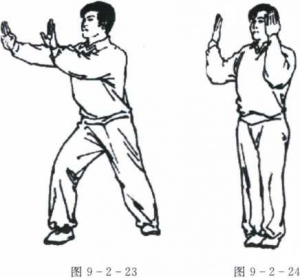 图片17