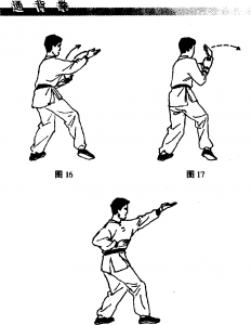 图片11