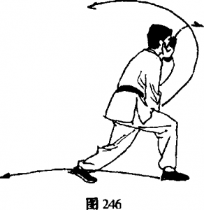 图片153