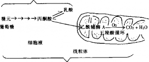 图片7