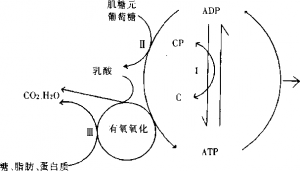 图片9