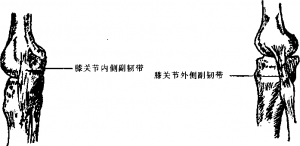图片12