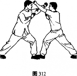 图片6