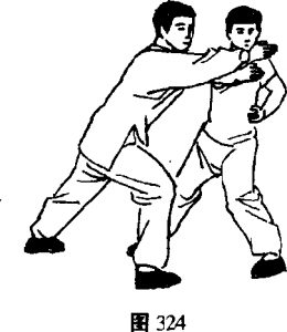 图片14