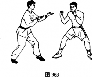 图片11