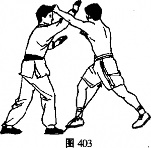 图片33
